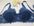 Top Women Underwear Sexy Push Up Bras 3/4 Cup Padded Lace Sheer Bra Cup B ONLY Women Bra
