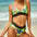 Ladies Printed Split Bikini Swimsuit