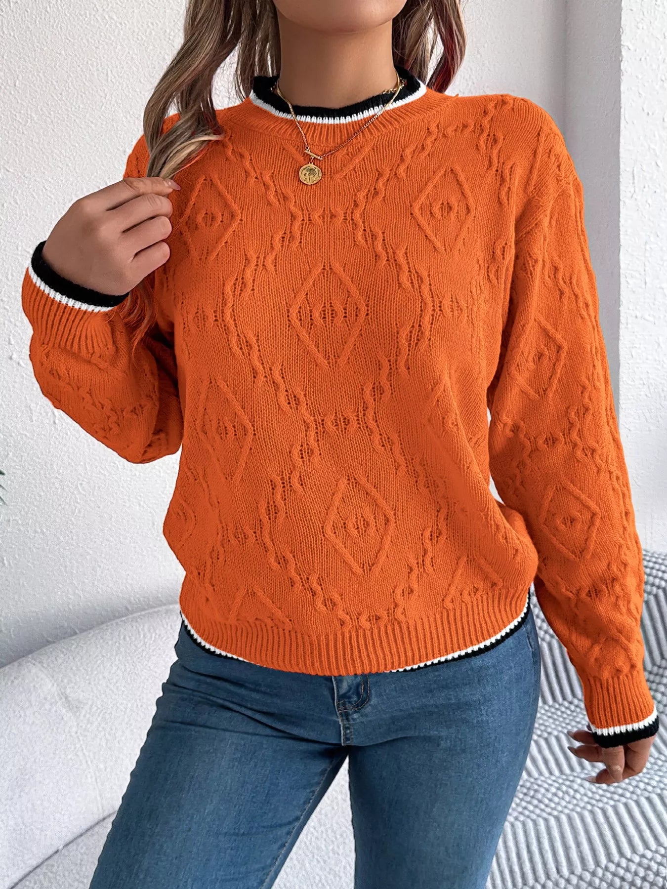 Contrast Trim Round Neck Sweater