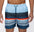 Blue stripes Swim Trunks Board Shorts