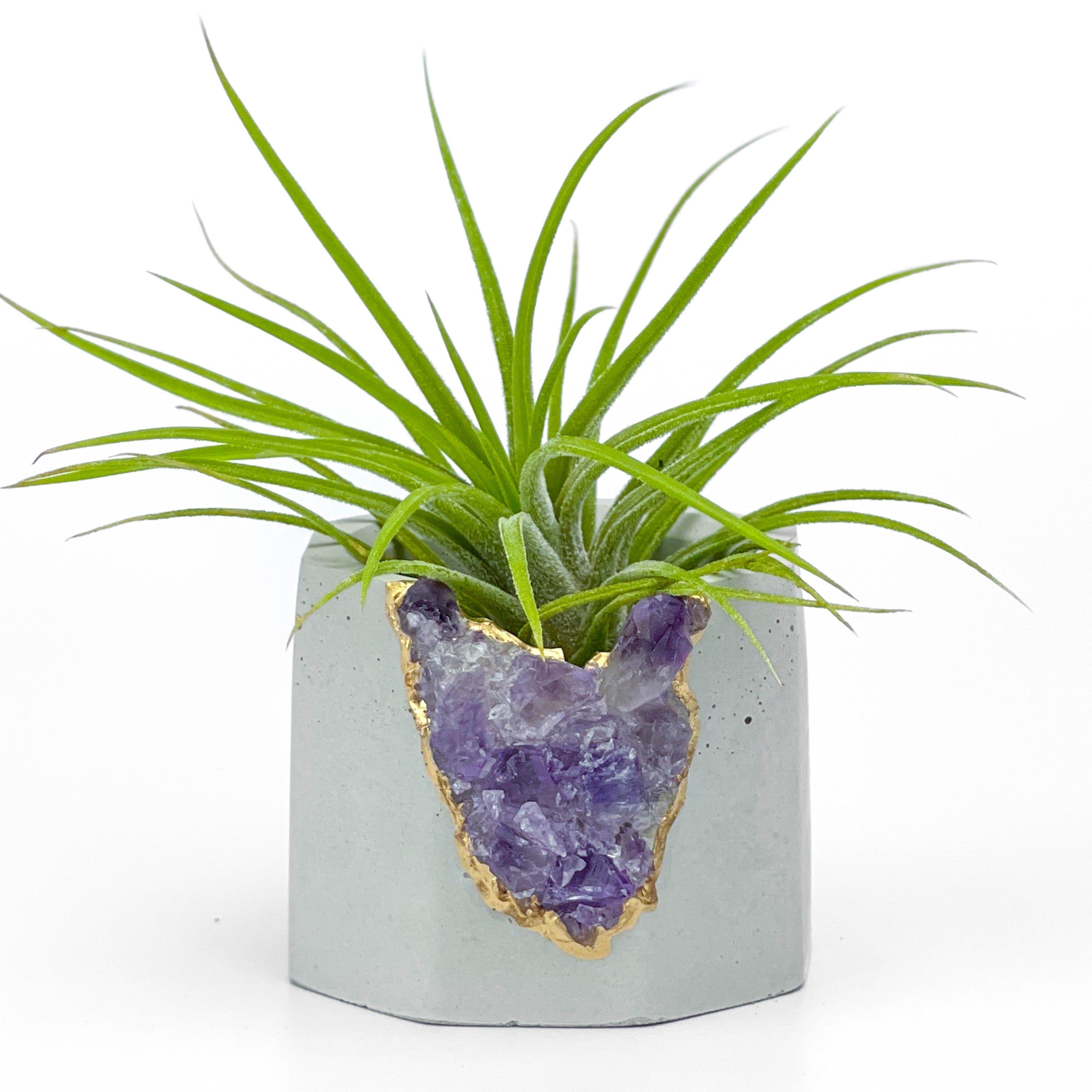 Brazil AMETHYST GEODE PLANTER