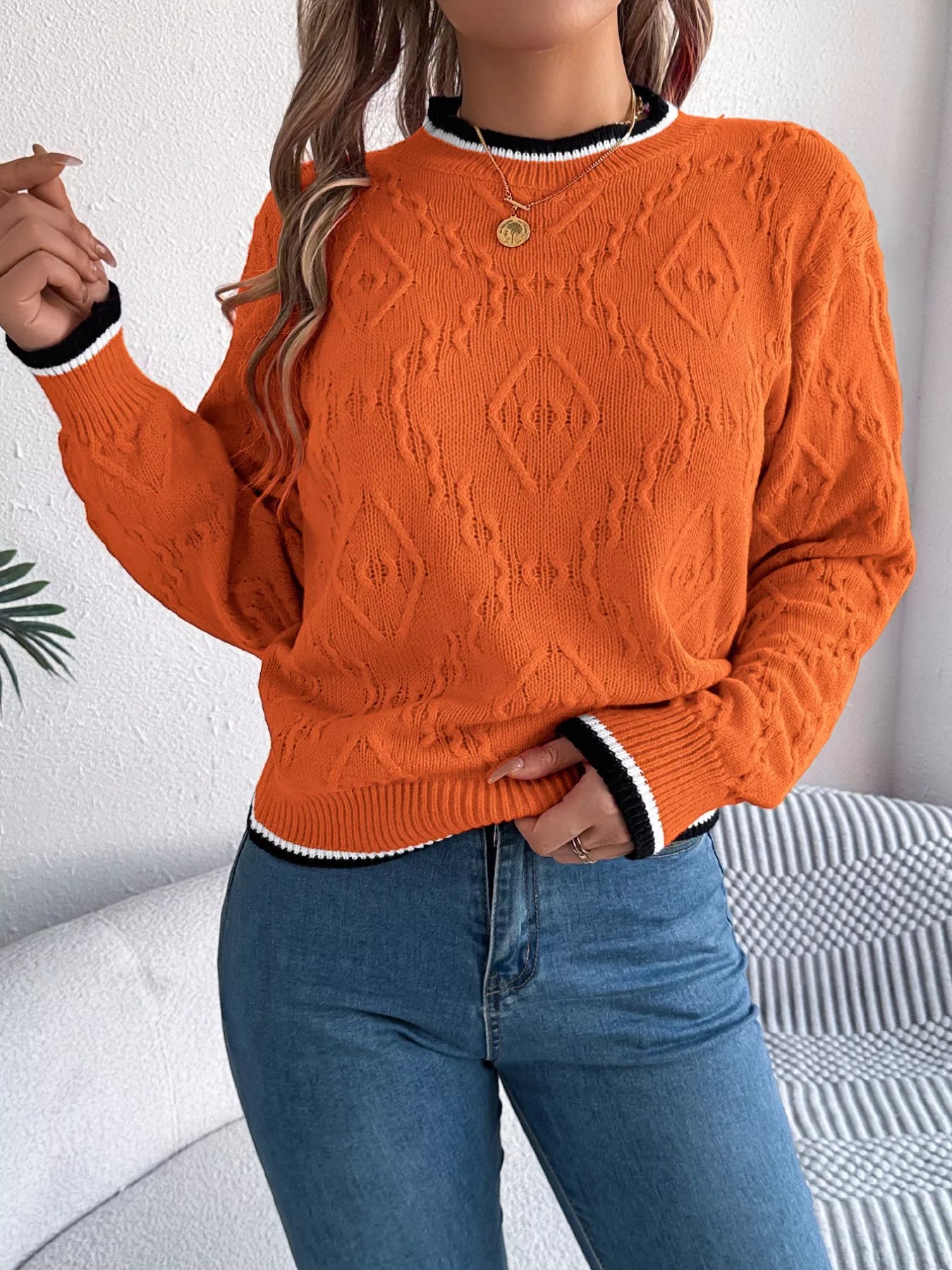 Contrast Trim Round Neck Sweater