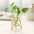 Decorated With Hydroponic Vase Decoration Living Room Dining Table Small  Creative Metal Decoration Glass Test Tube