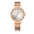 Women's Quartz Fashion Waterproof Diamond Steel Watch