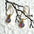 Dewdrop Dangle Earrings