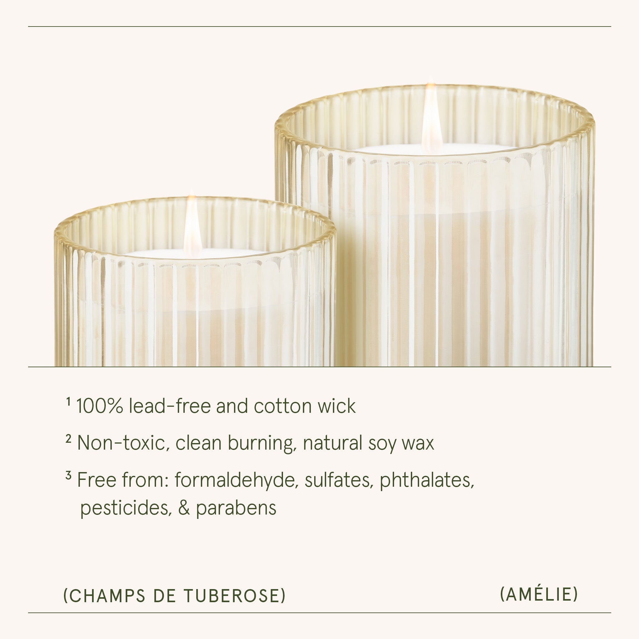 Amélie –  Champs de Tuberose Candle