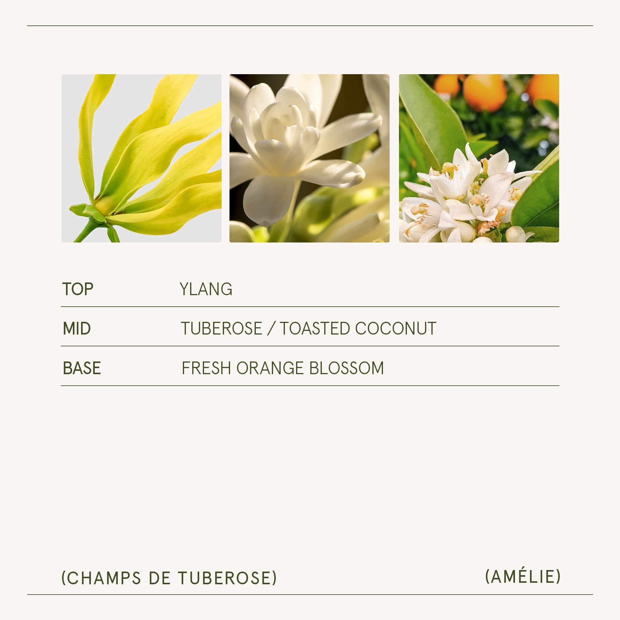 Amélie –  Champs de Tuberose Candle