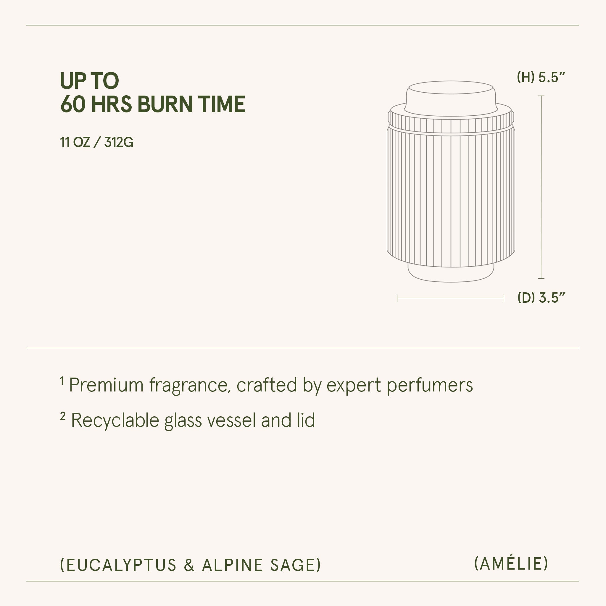 Amélie –  Eucalyptus & Alpine Sage Candle