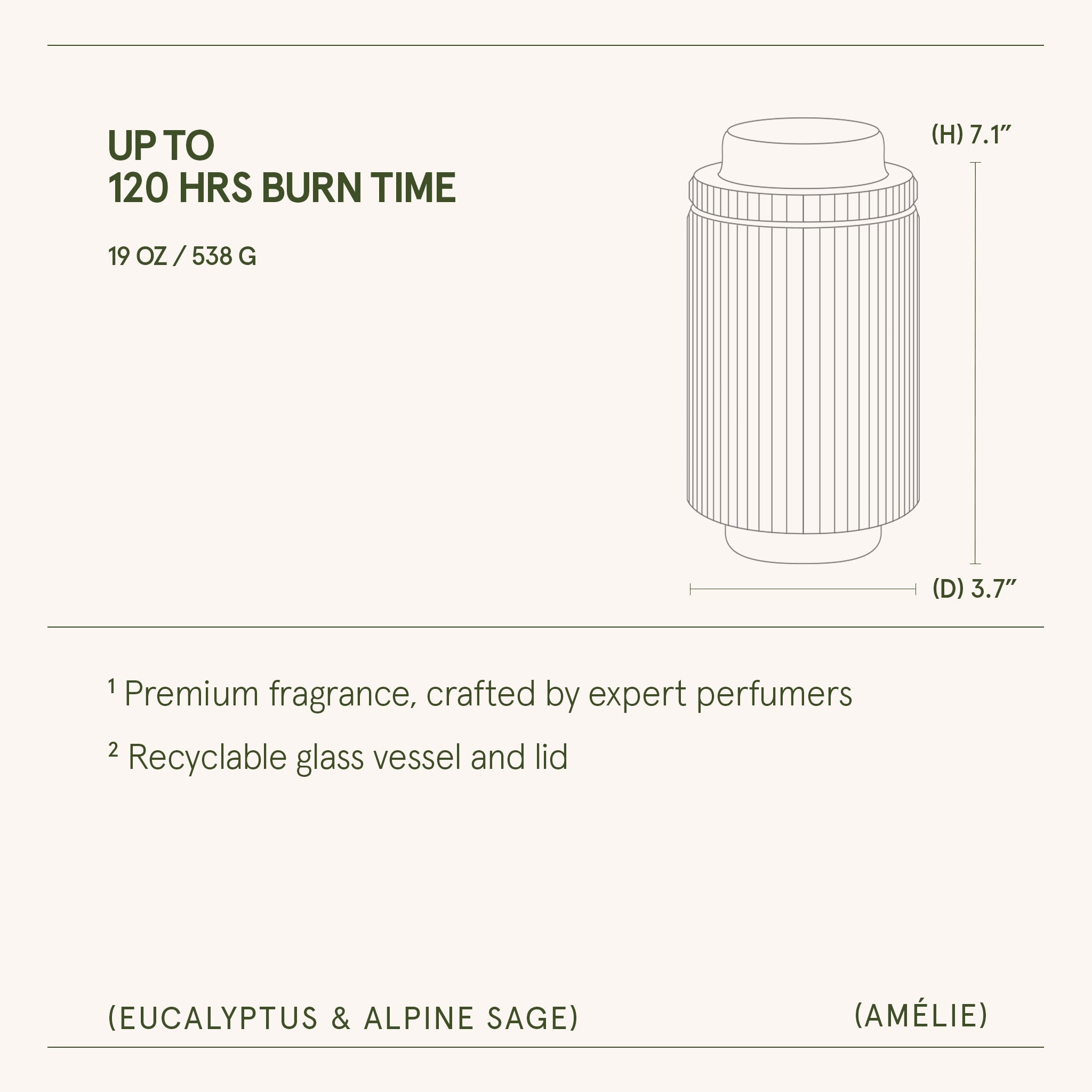 Amélie –  Eucalyptus & Alpine Sage Candle