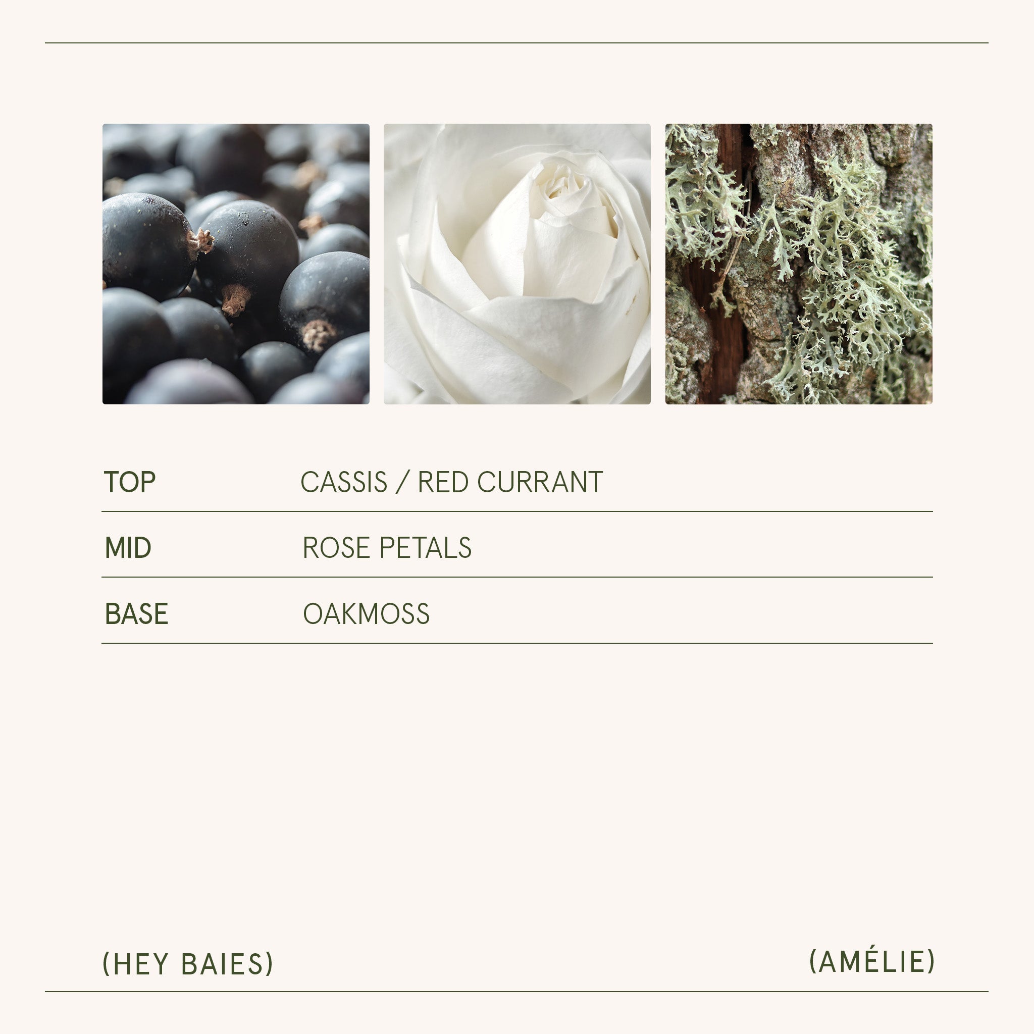 Amélie –  Hey Baies Candle