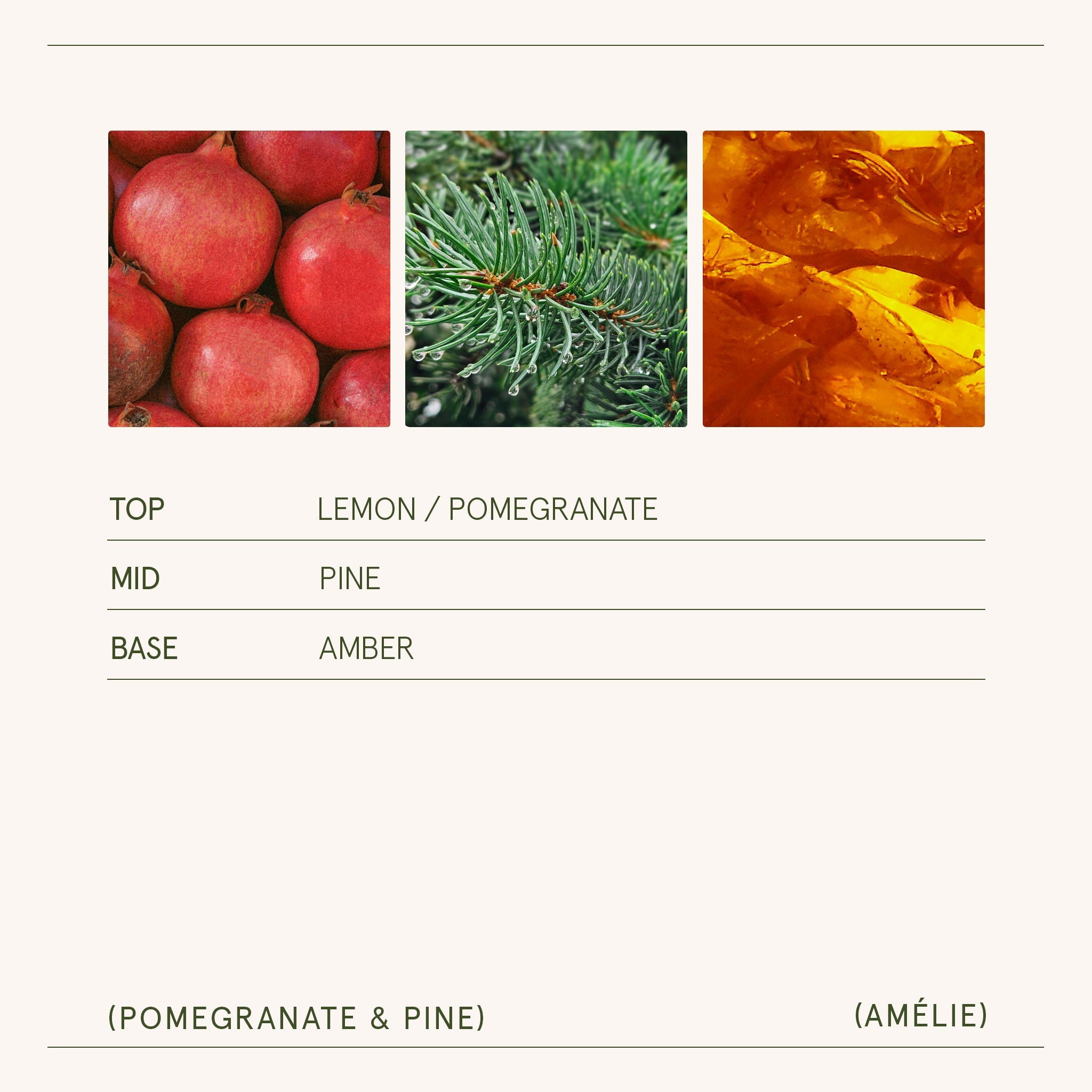Amélie – Pomegranate & Pine Candle