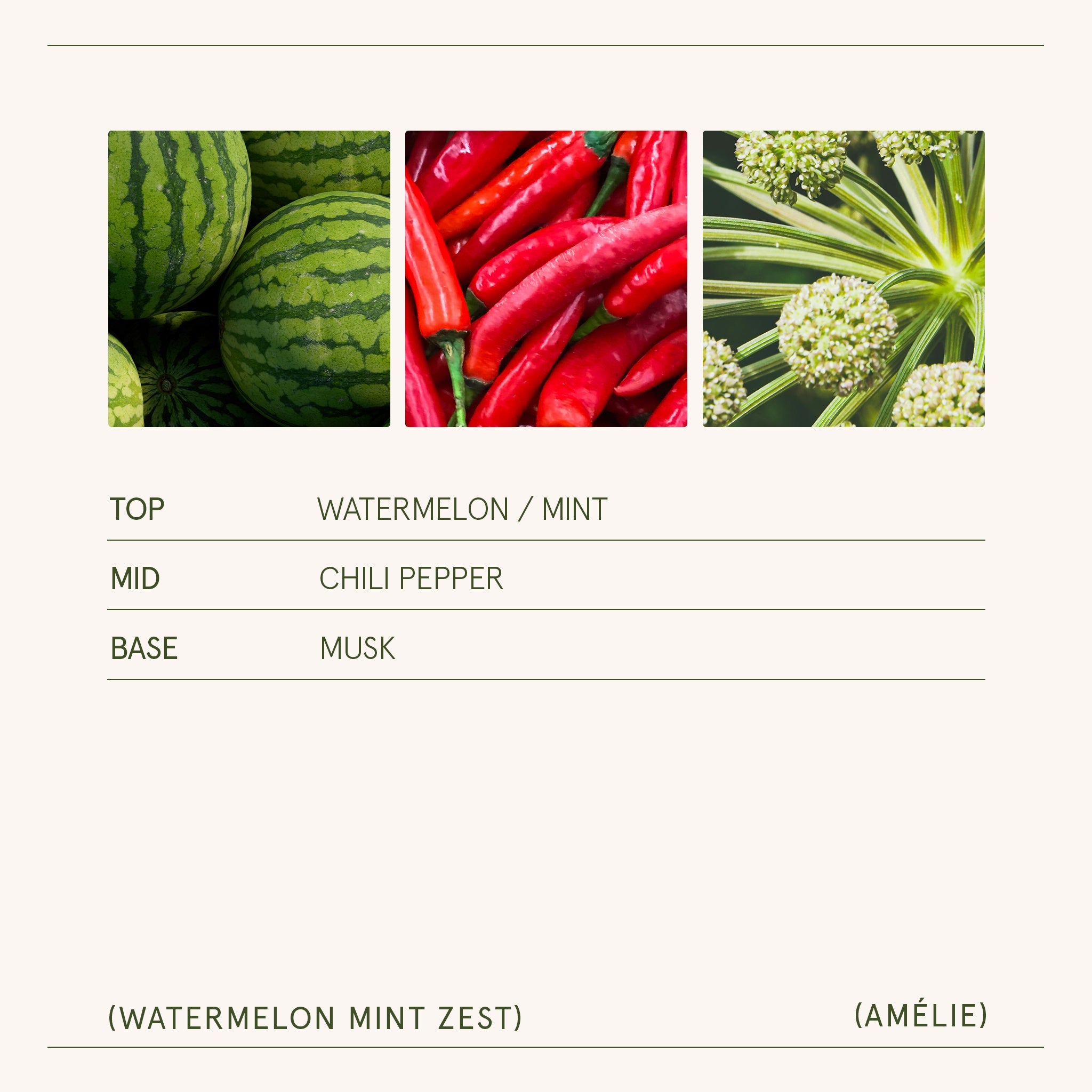 Amélie – Watermelon Mint Zest Candle