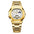 Men's Fashion Business Automatic Mechanical Watch