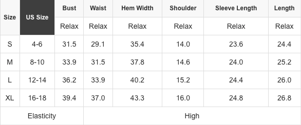 Alexandra Mesh Star Sheath Long Sleeve Top