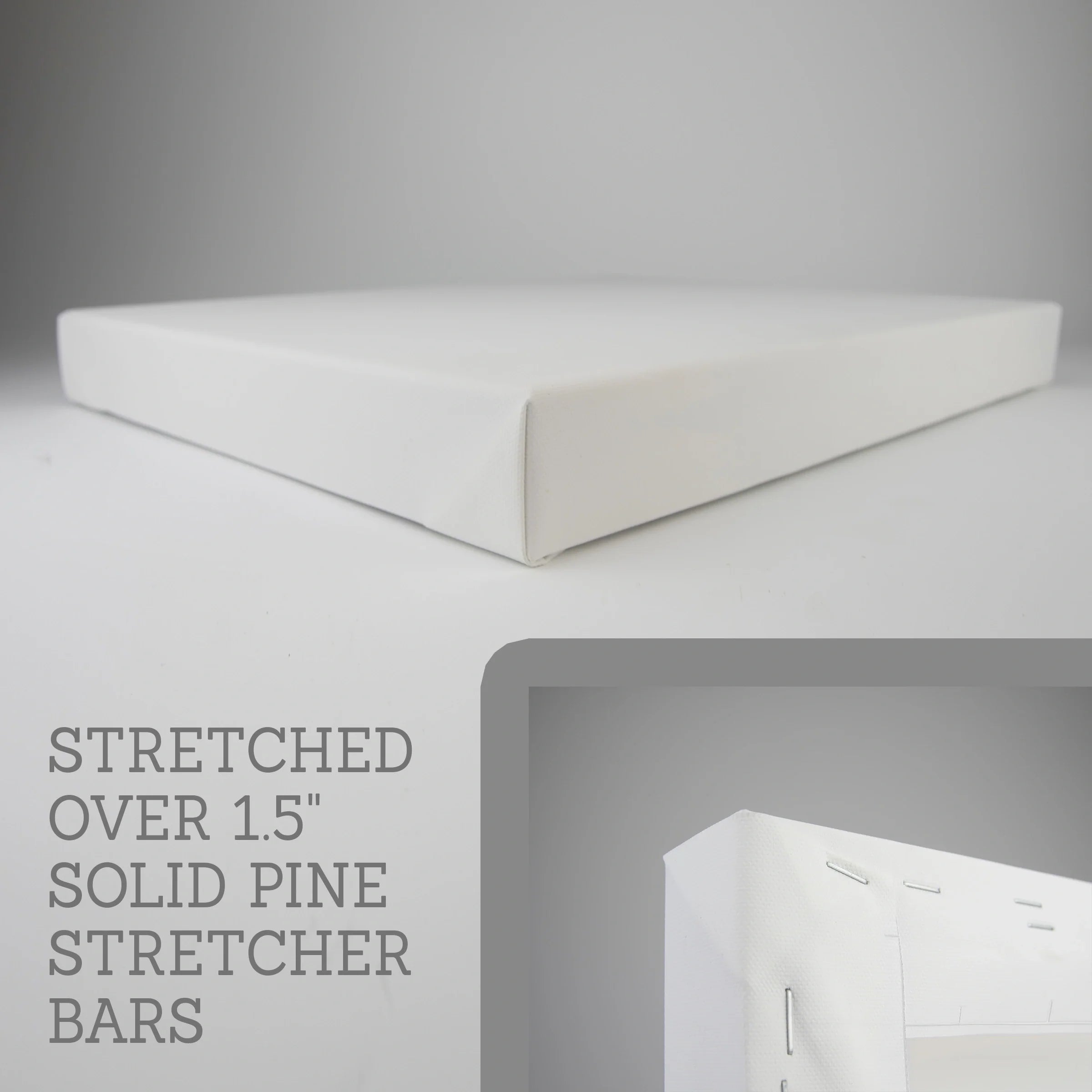 Minimalist Ocean Life Art. Marine Animals Decor