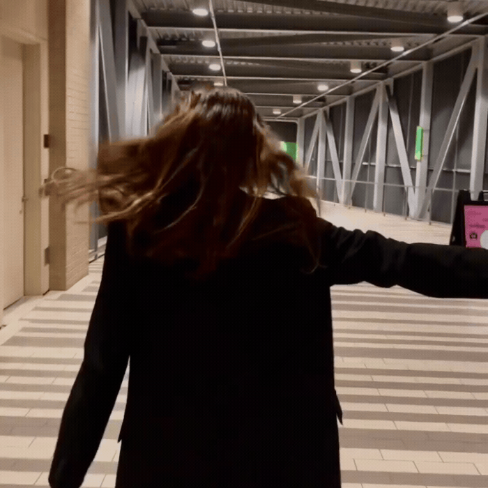 Buckle Scrunchie - Vibrant Solid Colors - No Snagging, No Tangles