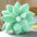 25/45cm Lifelike Succulent Plants Plushie
